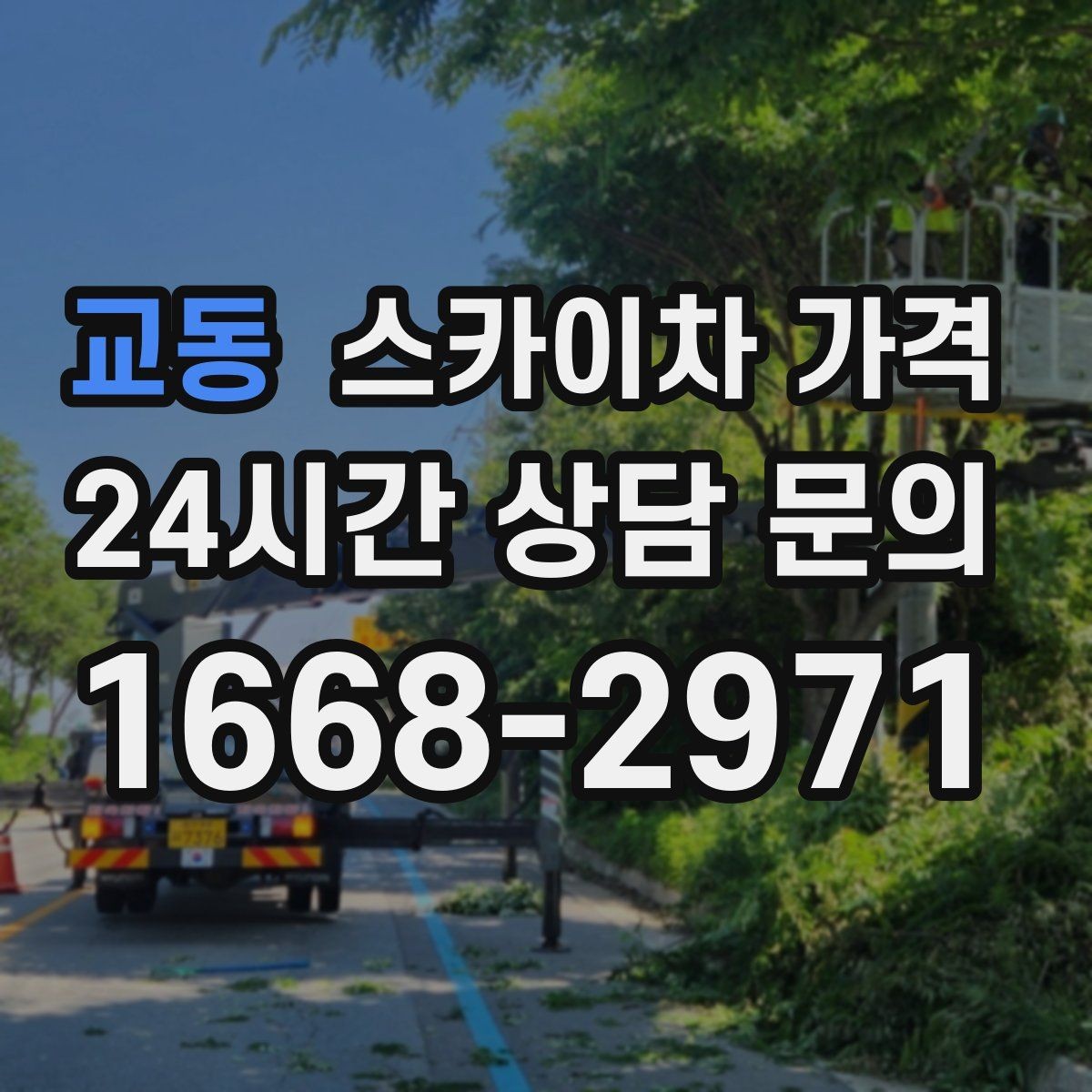 교동 스카이차 가격 크리스마스 조명 설치는 무엇이 변수가 될까