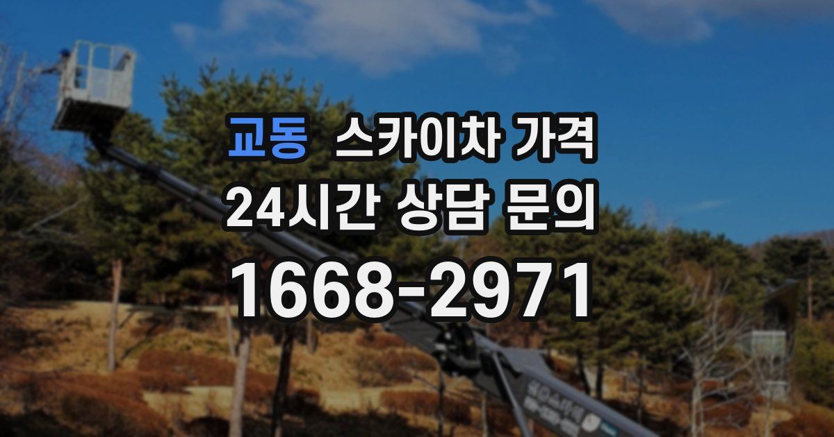 교동 스카이차 가격