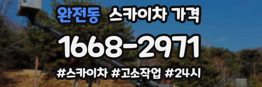 완전동 스카이차 가격