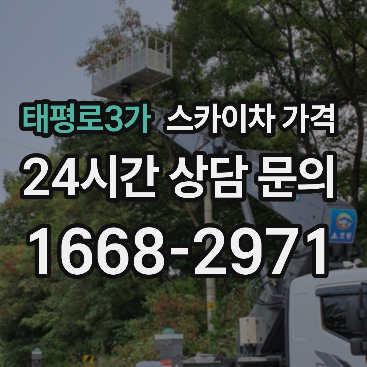태평로3가 스카이차 가격 대기 없이 끝내는 현장 준비 요령