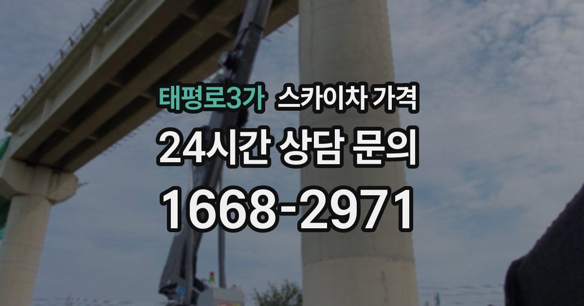 태평로3가 스카이차 가격