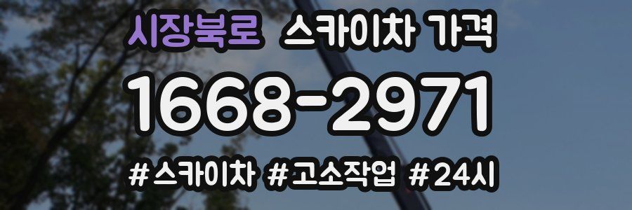 시장북로 스카이차 가격