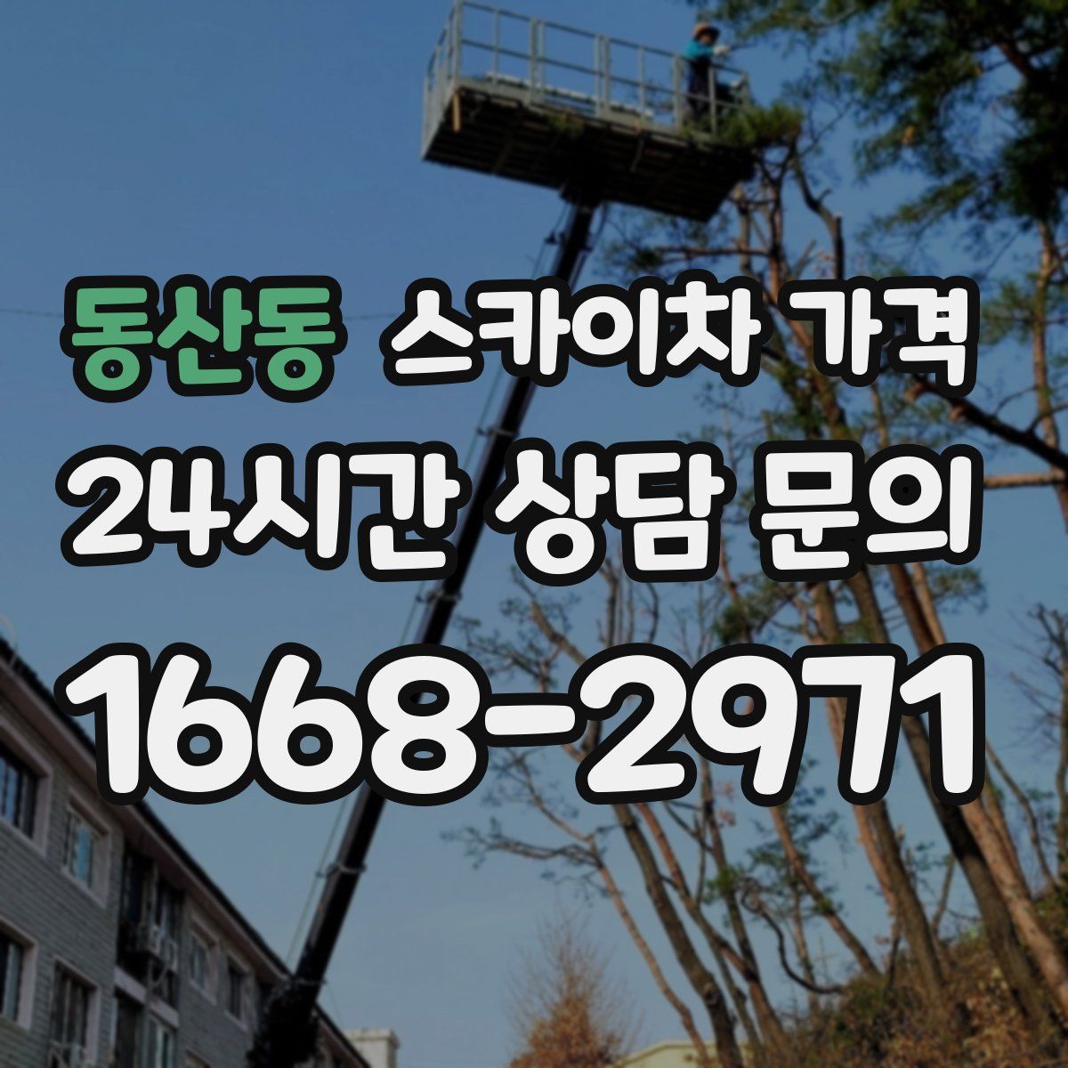 동산동 스카이차 가격