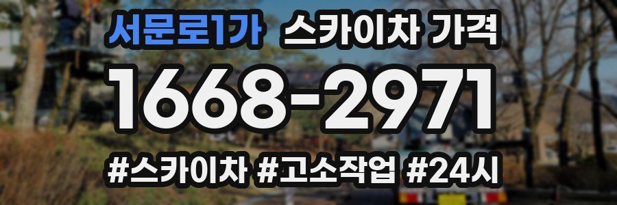 서문로1가 스카이차 가격