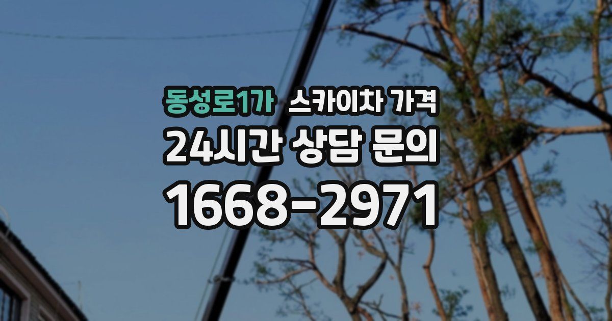 동성로1가 스카이차 가격