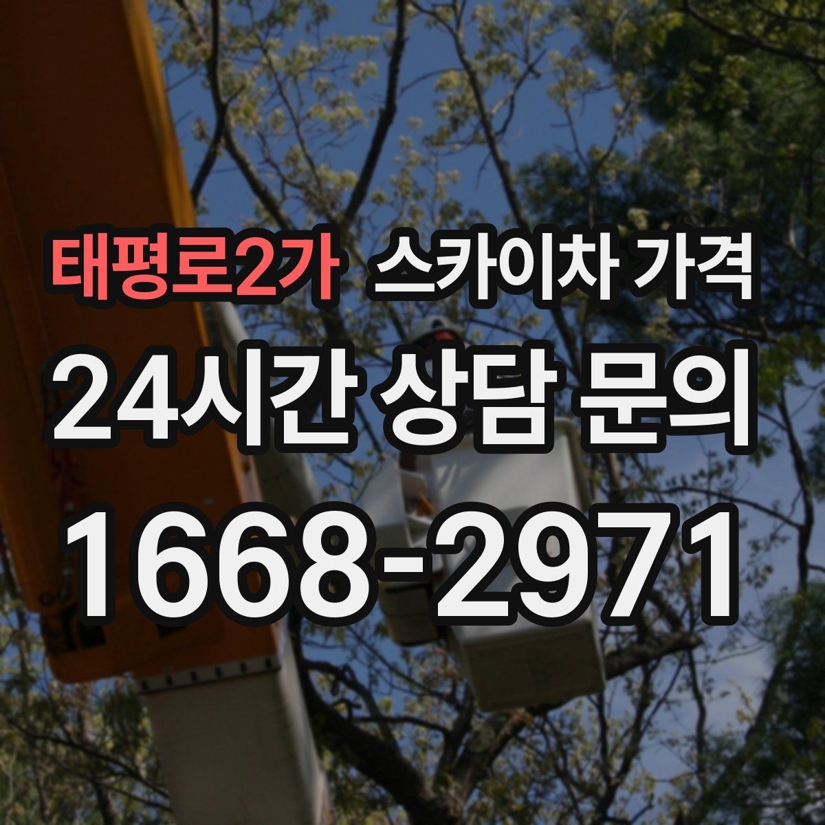 태평로2가 스카이차 가격 야간 작업은 왜 달라질 수 있을까