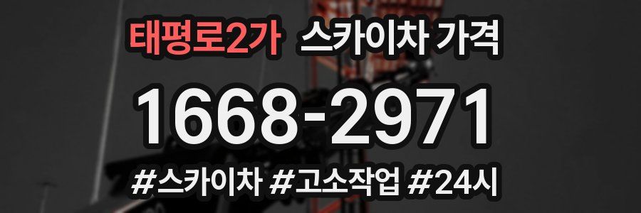 태평로2가 스카이차 가격