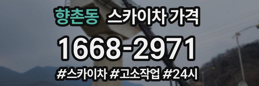 향촌동 스카이차 가격