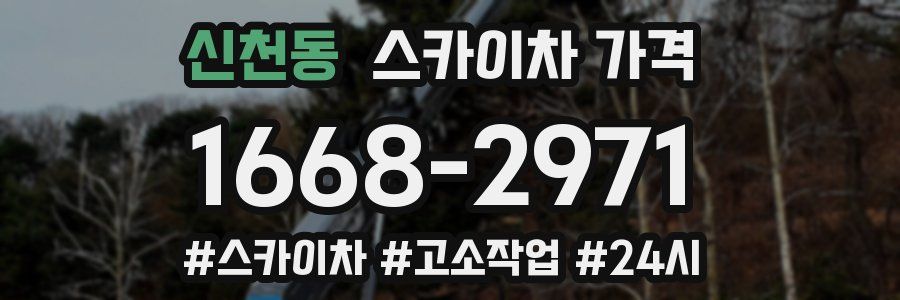 신천동 스카이차 가격