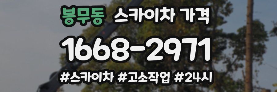 봉무동 스카이차 가격