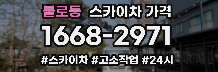 불로동 스카이차 가격