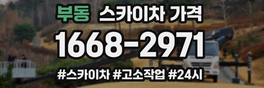 부동 스카이차 가격