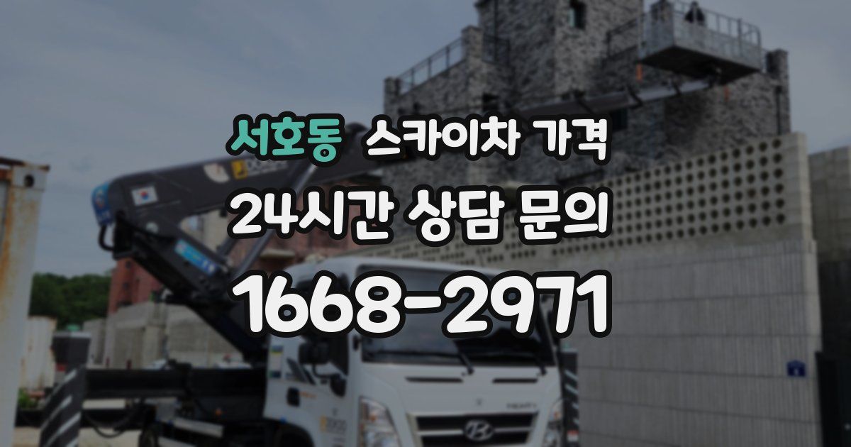 서호동 스카이차 가격