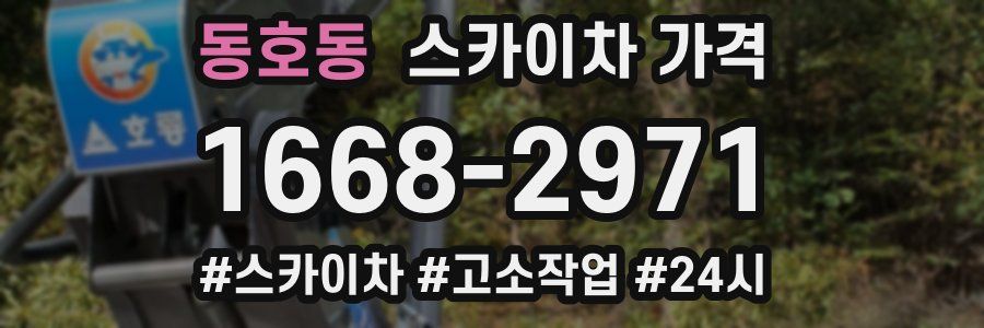 동호동 스카이차 가격