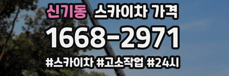 신기동 스카이차 가격