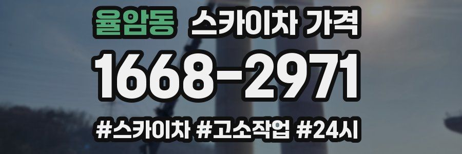 율암동 스카이차 가격