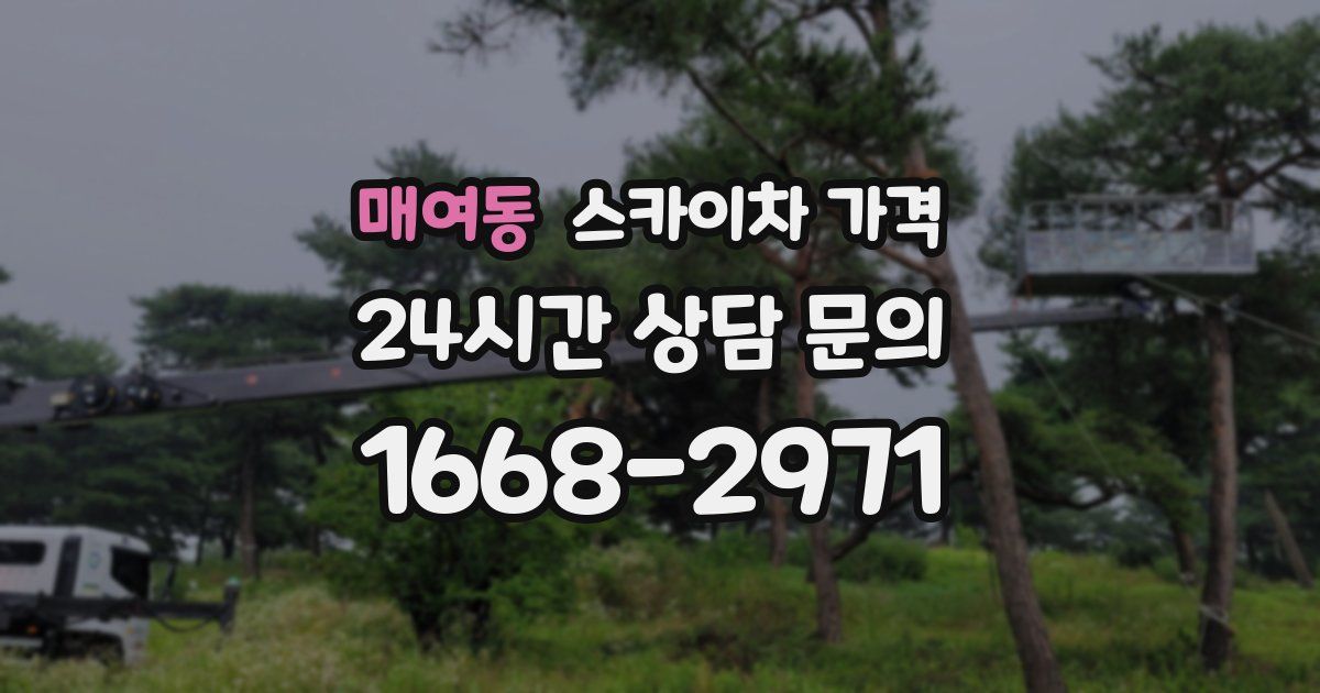 매여동 스카이차 가격