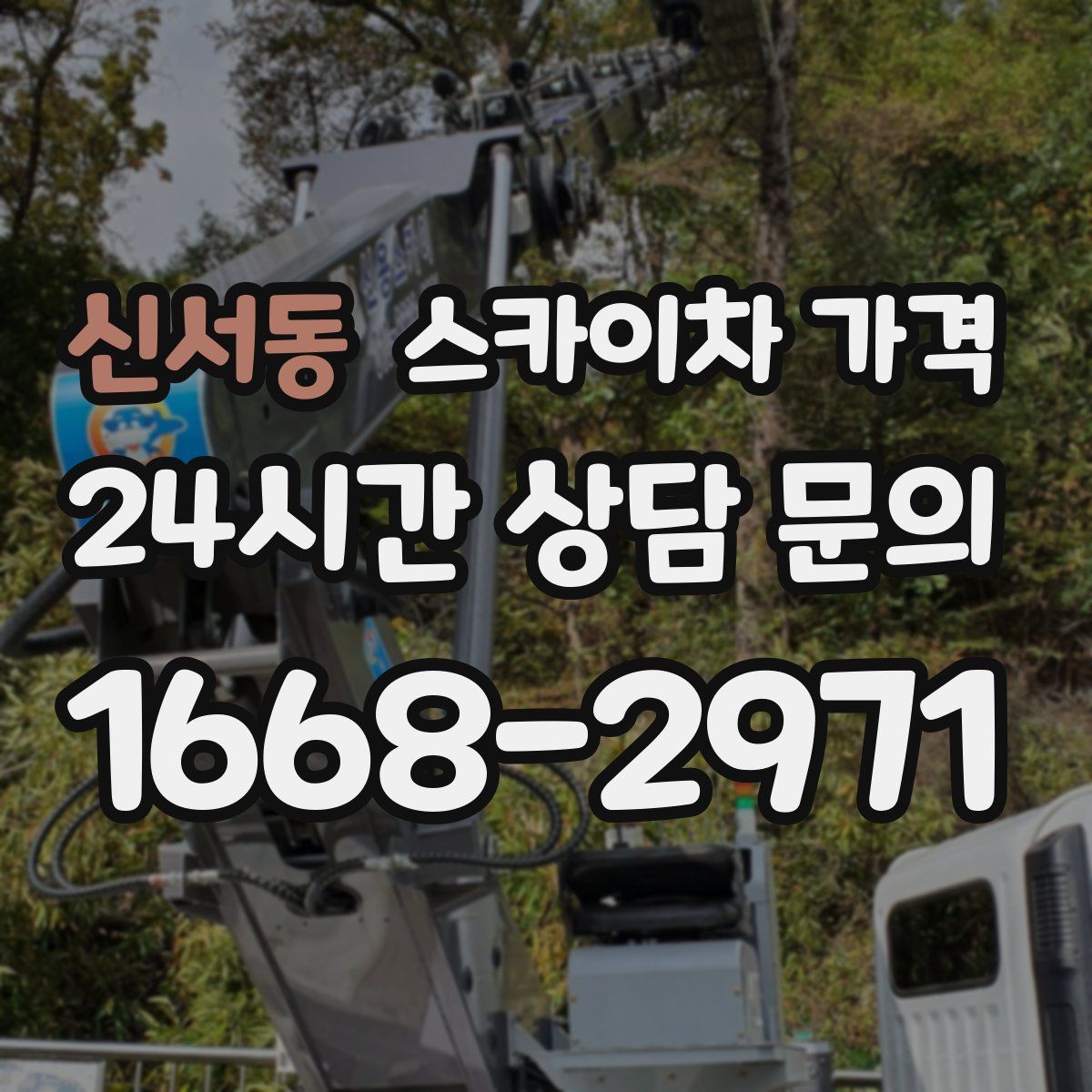 신서동 스카이차 가격