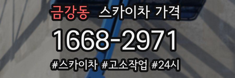 금강동 스카이차 가격