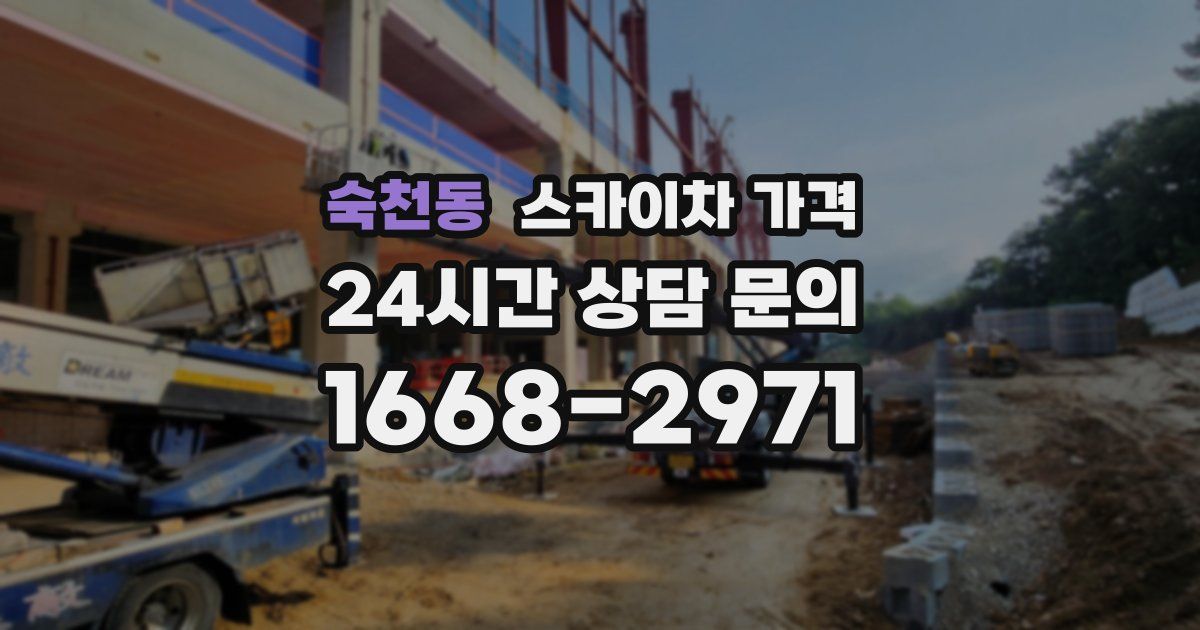 숙천동 스카이차 가격