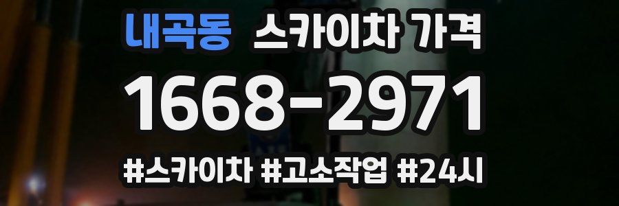 내곡동 스카이차 가격