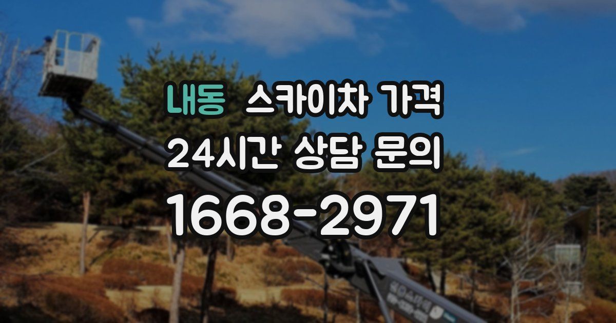 내동 스카이차 가격