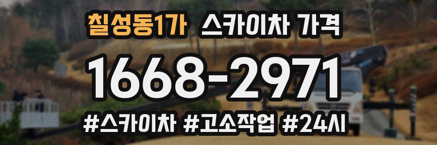 칠성동1가 스카이차 가격