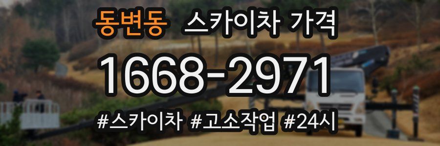 동변동 스카이차 가격