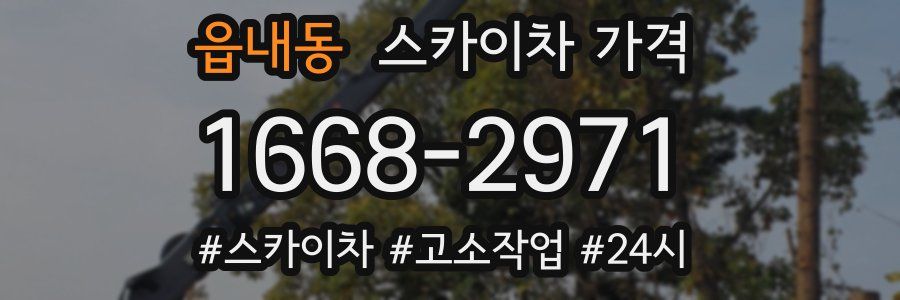 읍내동 스카이차 가격