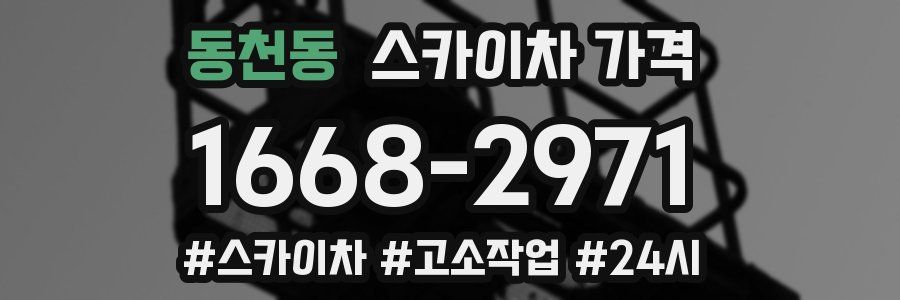 동천동 스카이차 가격