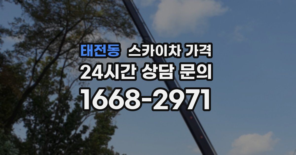 태전동 스카이차 가격