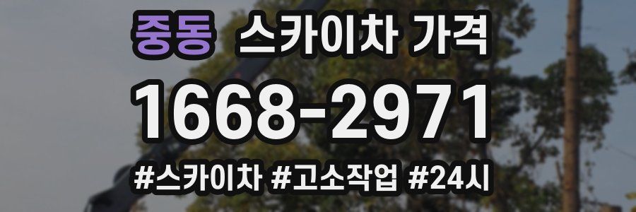 중동 스카이차 가격