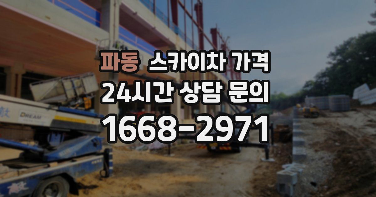 파동 스카이차 가격