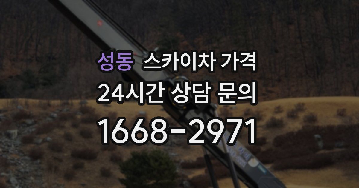 성동 스카이차 가격