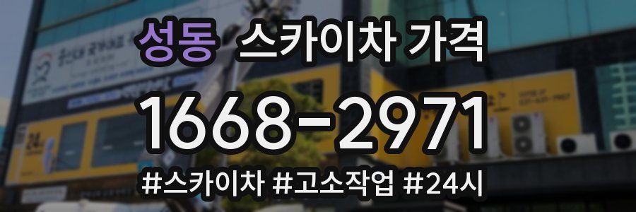 성동 스카이차 가격