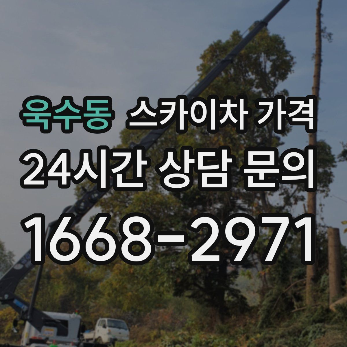 욱수동 스카이차 가격