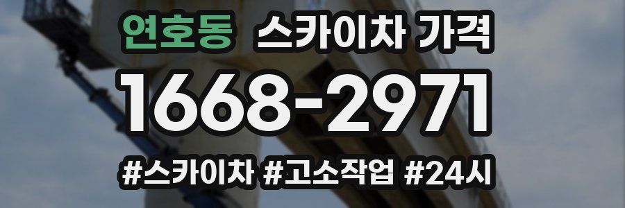 연호동 스카이차 가격