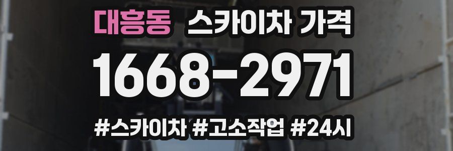 대흥동 스카이차 가격