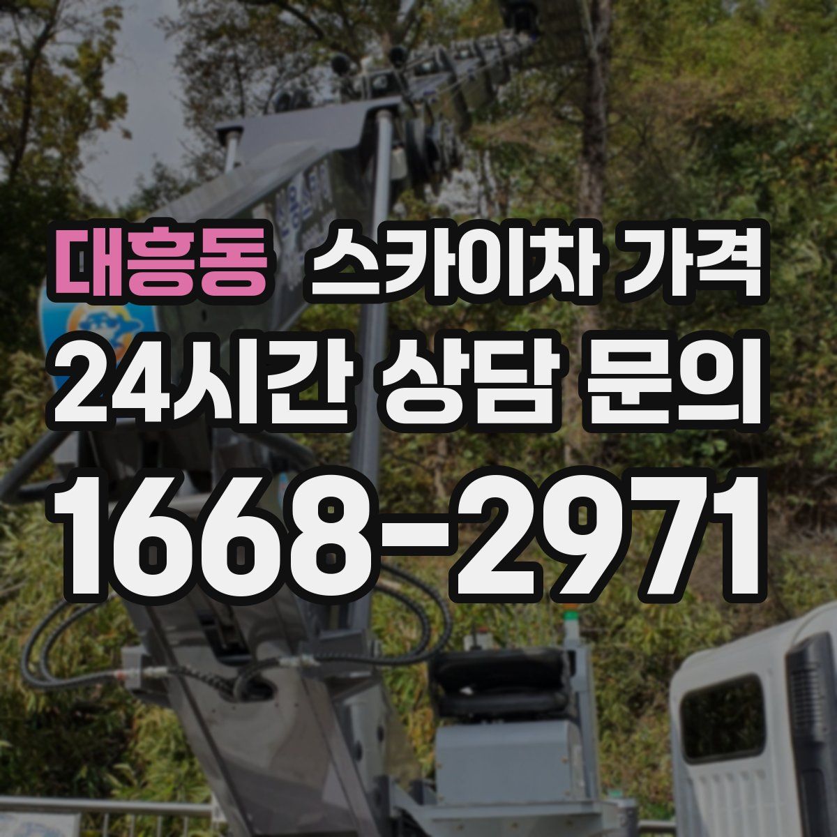 대흥동 스카이차 가격