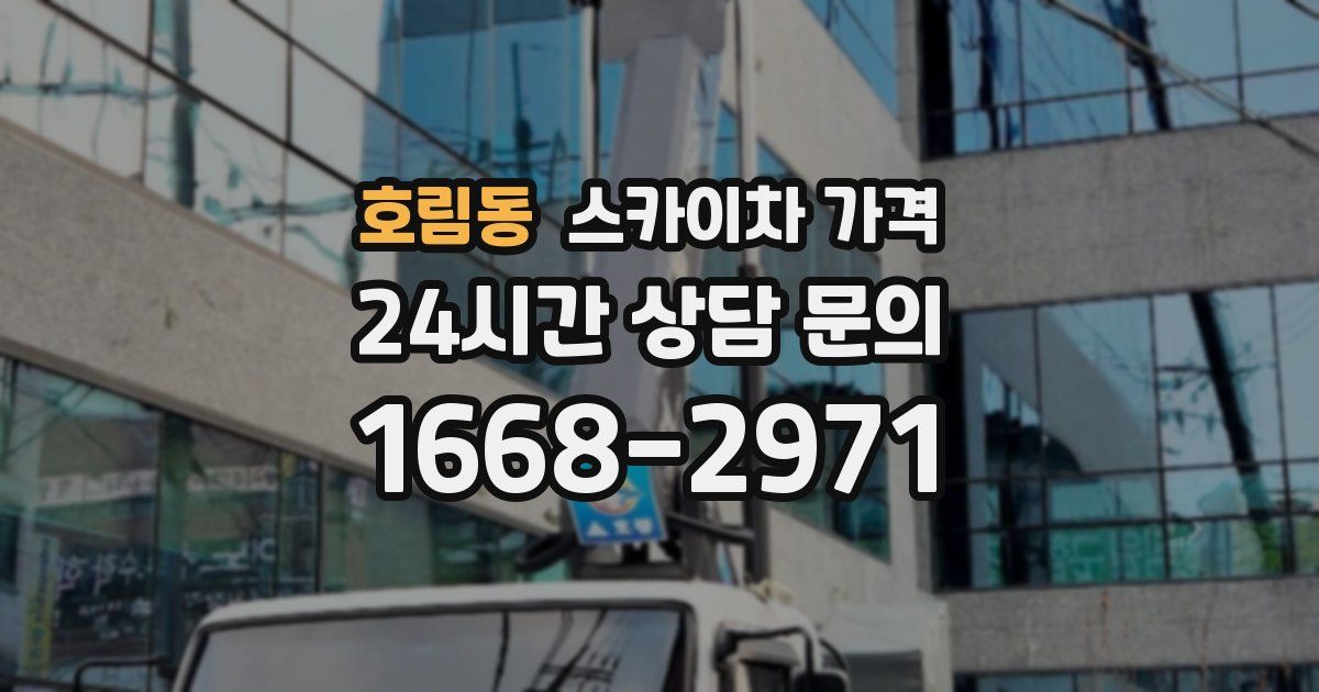 호림동 스카이차 가격