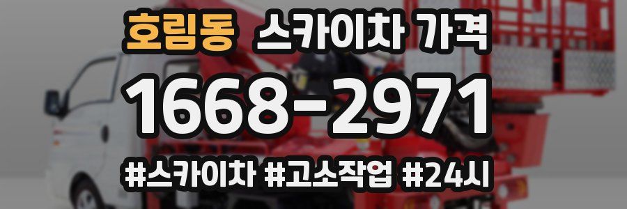 호림동 스카이차 가격