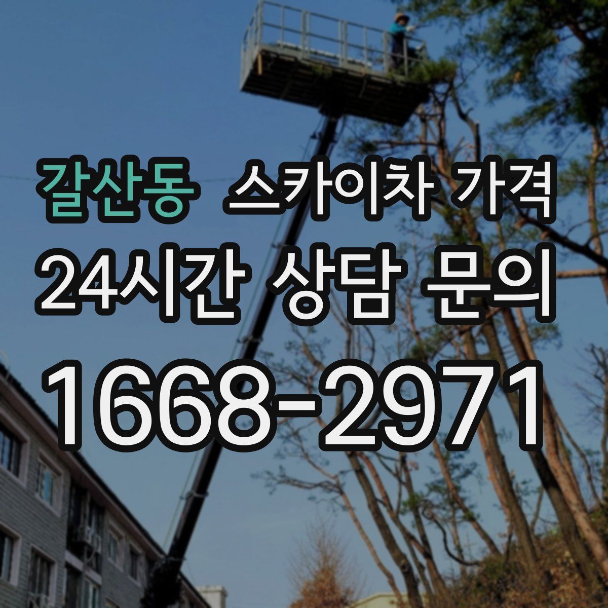 갈산동 스카이차 가격