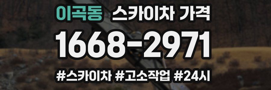 이곡동 스카이차 가격