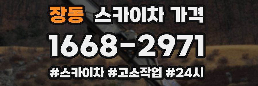 장동 스카이차 가격