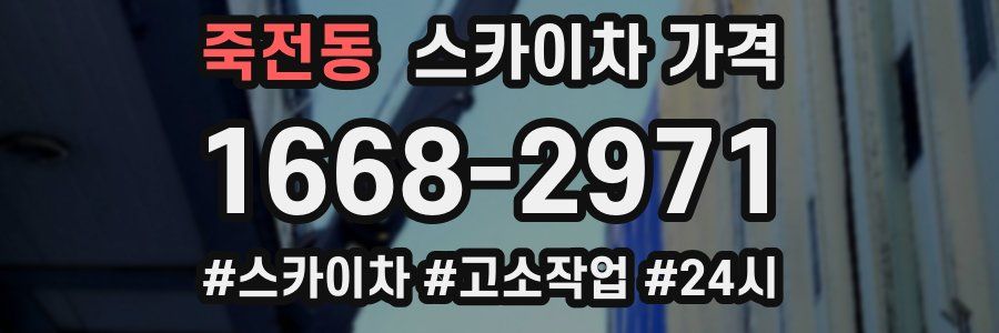 죽전동 스카이차 가격