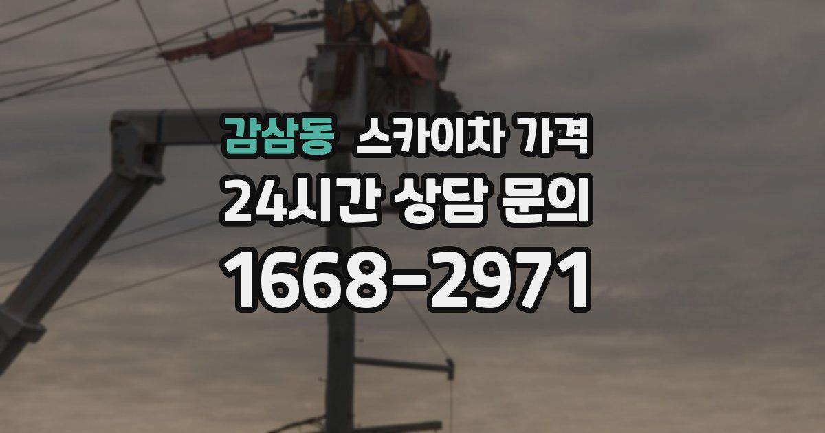 감삼동 스카이차 가격