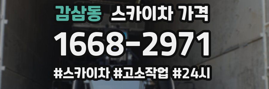 감삼동 스카이차 가격