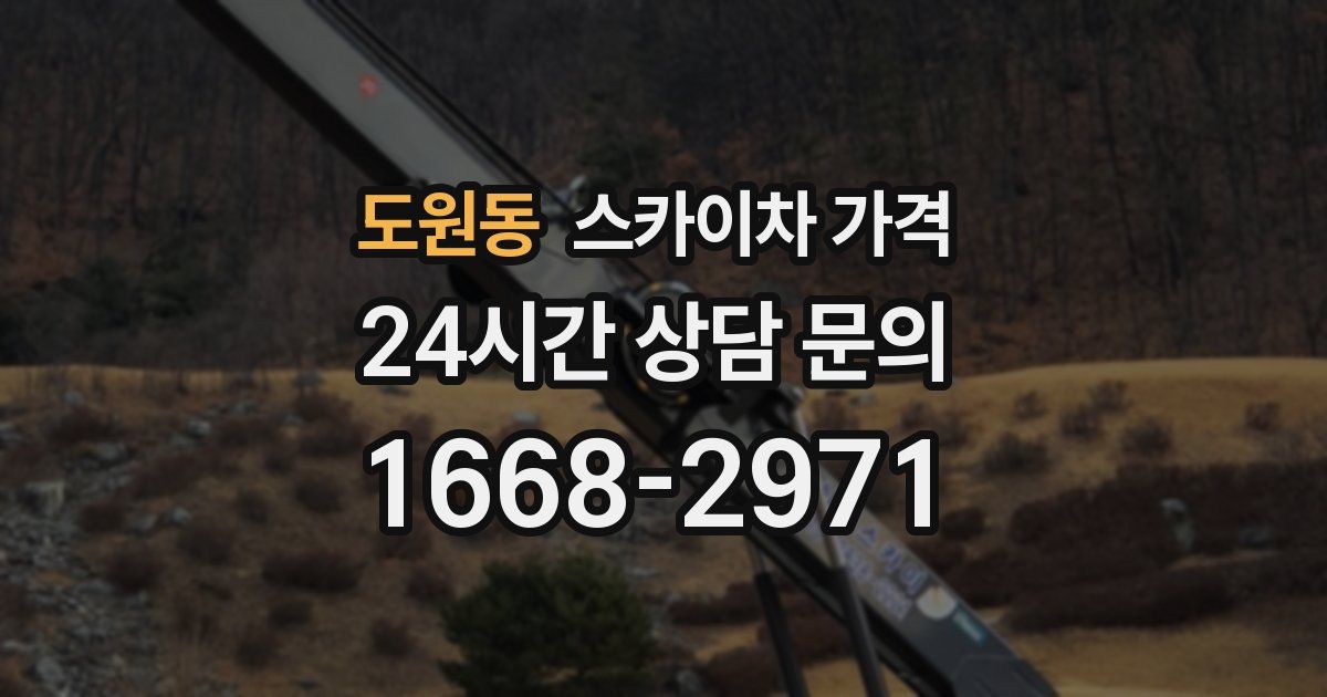 도원동 스카이차 가격