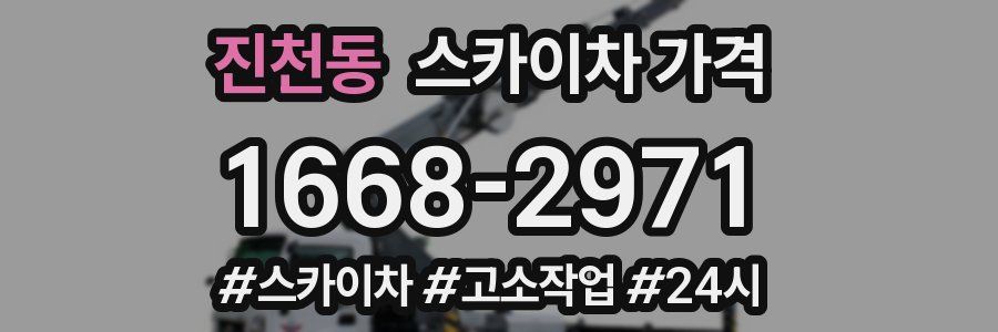 진천동 스카이차 가격