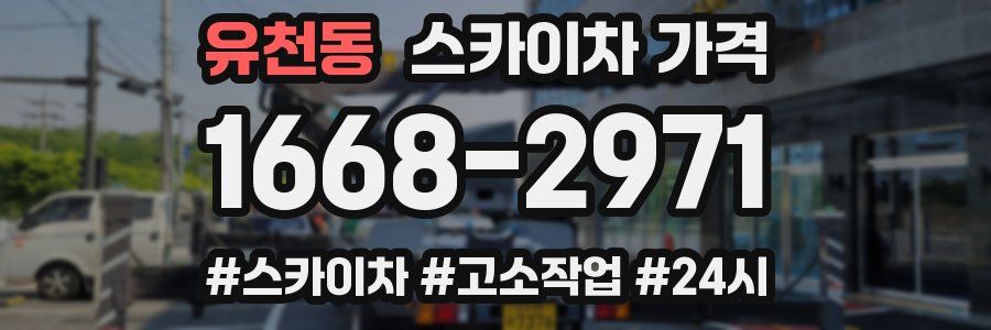 유천동 스카이차 가격